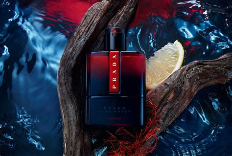 prada carbon vs ocean